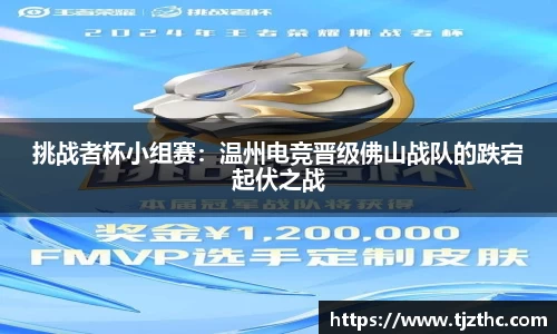 OB视讯集团官网